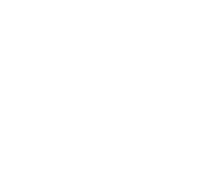 Logo basc blanco movirtam